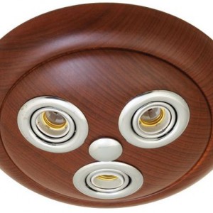 Movement Ceiling Fixture with three spot(wood)